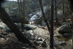photo thumbnail #5