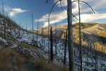 photo thumbnail #1