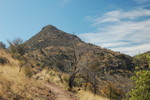 photo thumbnail #4