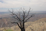 photo thumbnail #7