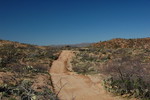 photo thumbnail #7