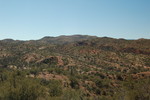photo thumbnail #11
