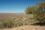 photo thumbnail #12