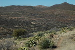 photo thumbnail #13