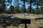 photo thumbnail #8