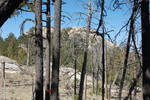 photo thumbnail #9