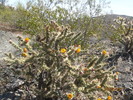 photo thumbnail #4