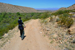 photo thumbnail #13