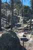 photo thumbnail #3