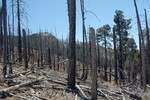 photo thumbnail #9