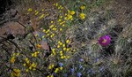 photo thumbnail #15