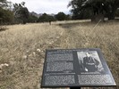 photo thumbnail #14
