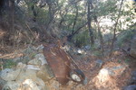 photo thumbnail #5