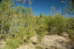 photo thumbnail #9