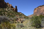 photo thumbnail #5