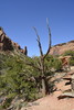 photo thumbnail #6