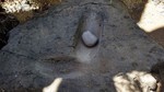 photo thumbnail #14
