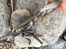 photo thumbnail #8