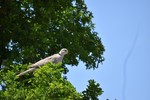 photo thumbnail #4