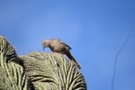 photo thumbnail #7