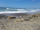 photo thumbnail #14