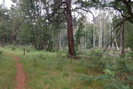 photo thumbnail #2