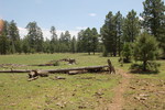 photo thumbnail #7