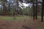 photo thumbnail #3