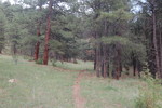 photo thumbnail #4