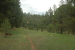 photo thumbnail #5