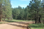 photo thumbnail #1