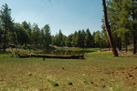 photo thumbnail #6