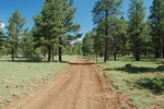 photo thumbnail #7