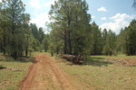 photo thumbnail #8