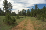 photo thumbnail #8