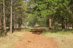 photo thumbnail #8