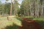 photo thumbnail #9