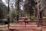 photo thumbnail #10