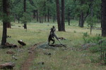 photo thumbnail #5