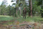 photo thumbnail #6