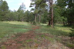 photo thumbnail #7