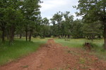 photo thumbnail #8