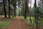 photo thumbnail #9