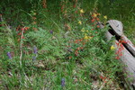 photo thumbnail #10