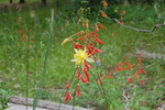 photo thumbnail #12