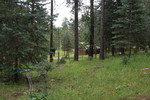 photo thumbnail #13