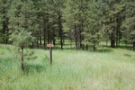 photo thumbnail #15