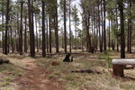 photo thumbnail #6
