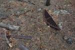 photo thumbnail #7