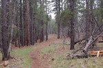 photo thumbnail #3